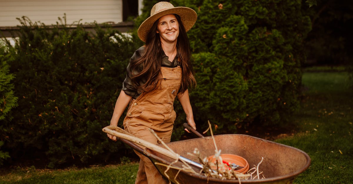 Lawn Services Chandler